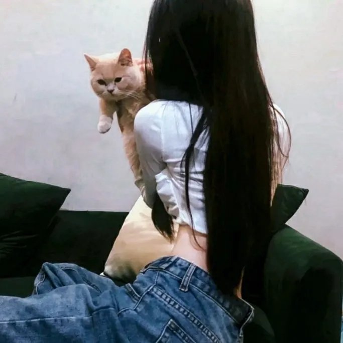 爱爱囧事